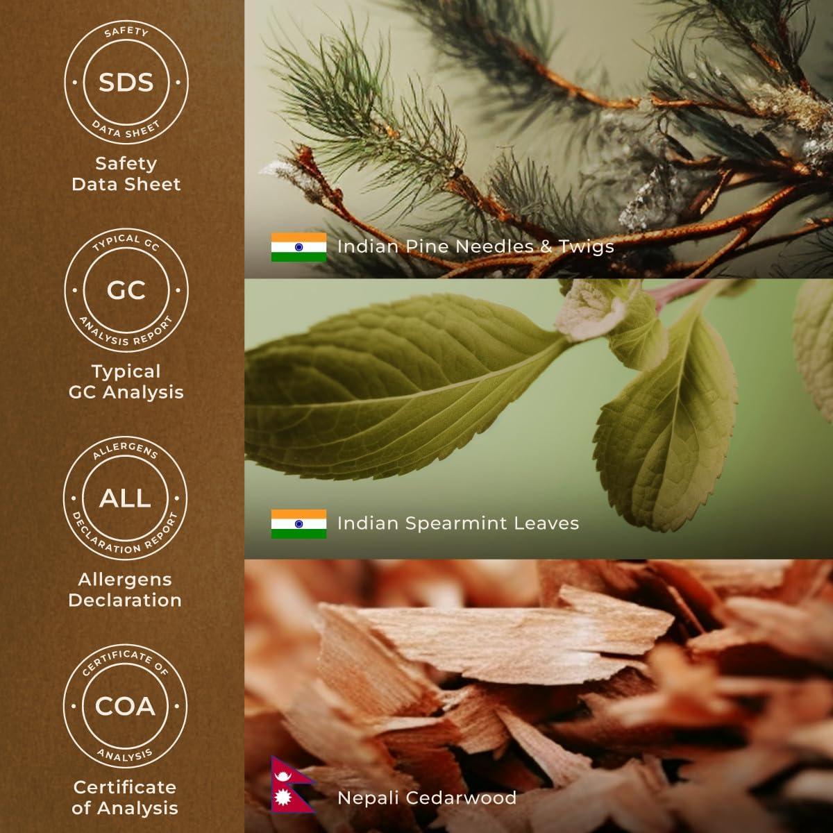 Aceite Esencial de Árbol de Navidad Gya Labs - 10 ml - Aromaterapia