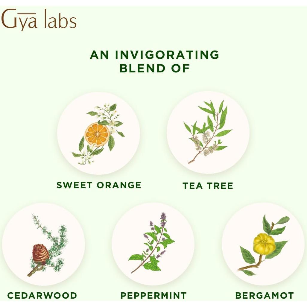 Aceite Esencial Purify Gya Labs 10 ml - Aroma Fresco y Limpiador