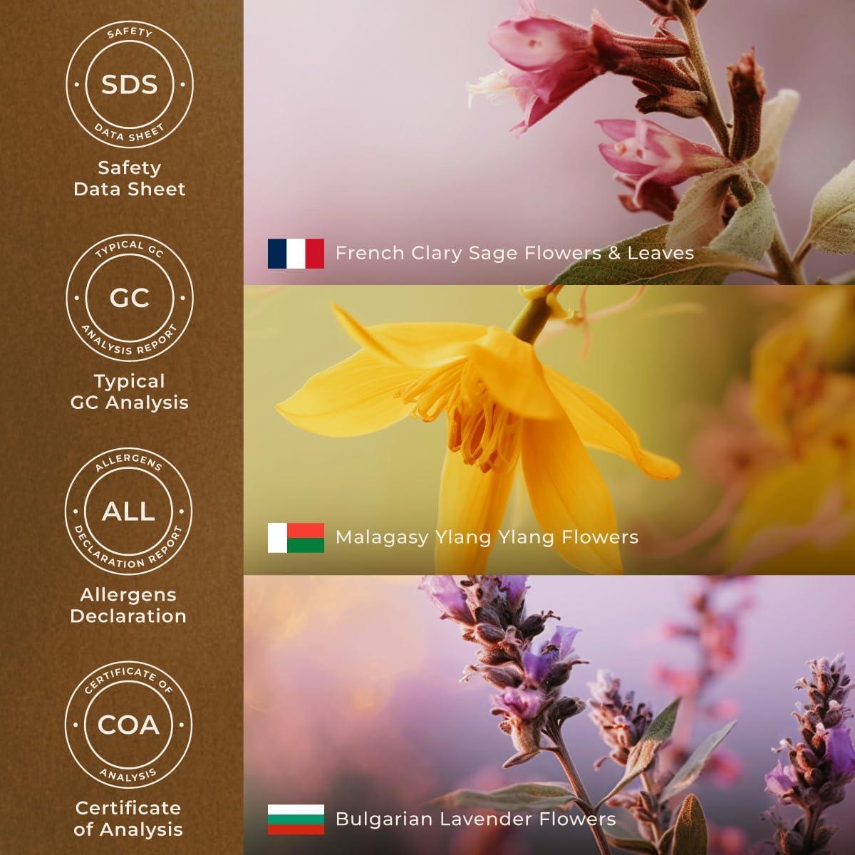 Mezcla de Aceite Esencial para Dormir Gya Labs 10 ml - Relajante