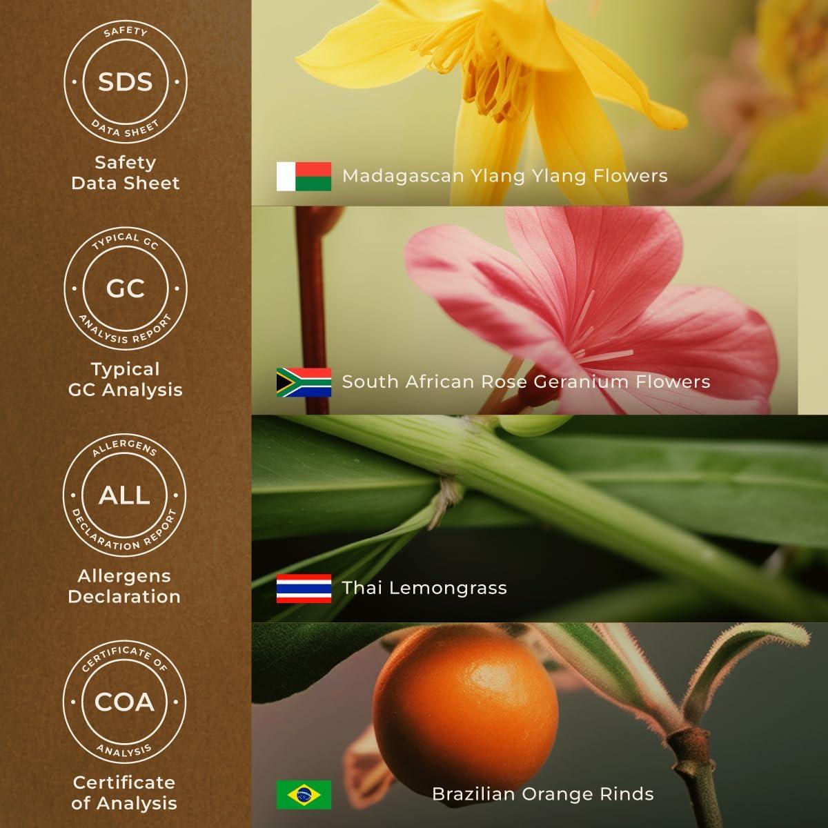 Mezcla de Aceite Esencial Alivio del Estrés Gya Labs 10 ml