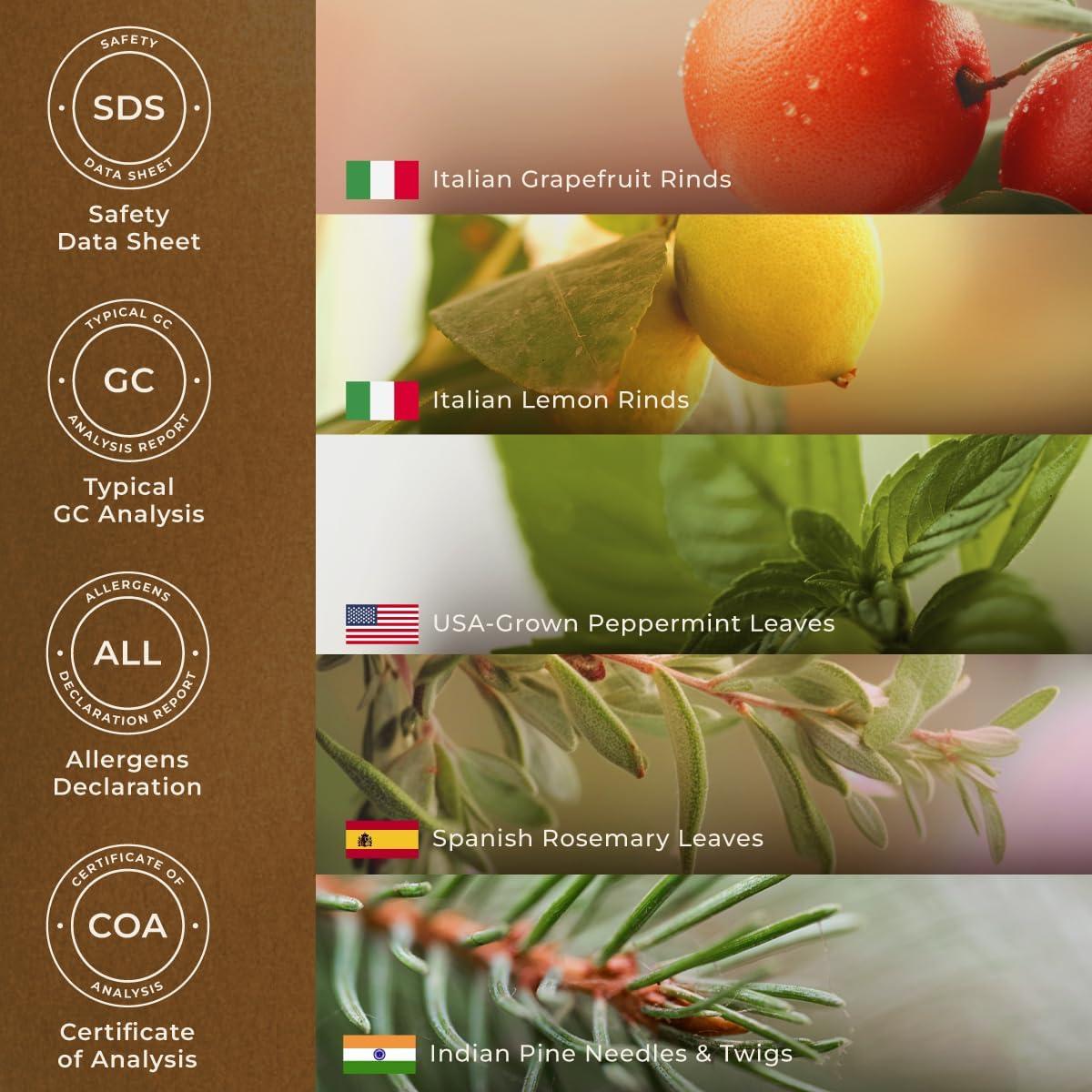 Aceite Esencial Energía Activa Gya Labs 10 ml - Aromaterapia