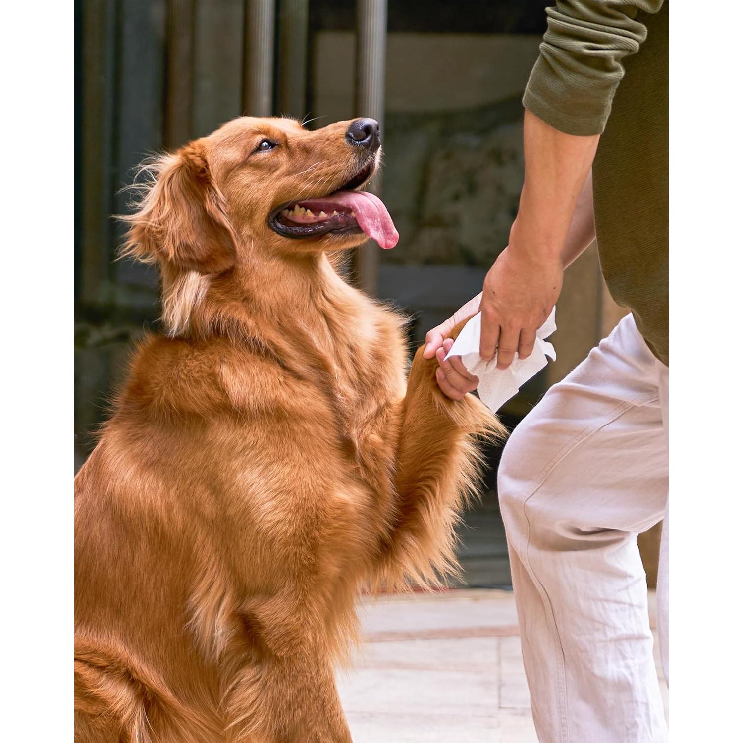 Toallitas Desodorantes HICC PET para Perros y Gatos 120 Unidades