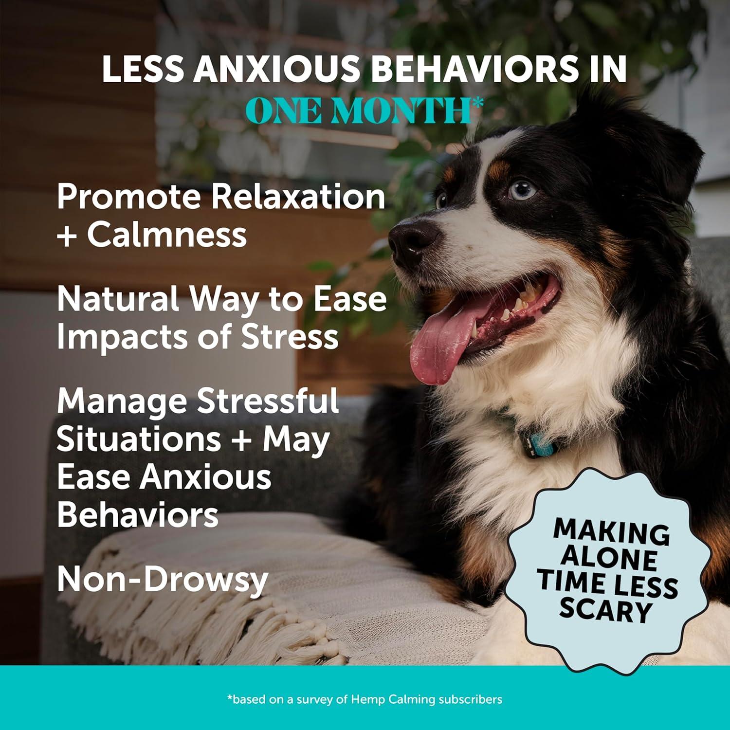 Masticables Calmantes para Perros Pet Honesty - 90 Conteos