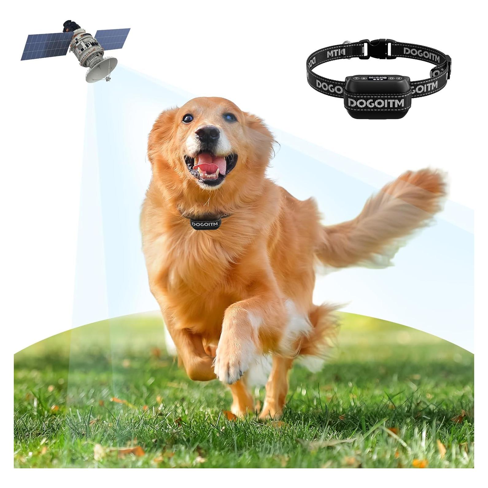Sistema de Cerca Inalámbrica GPS DOGOITM para Perros - Rango 6 a 304.8 m