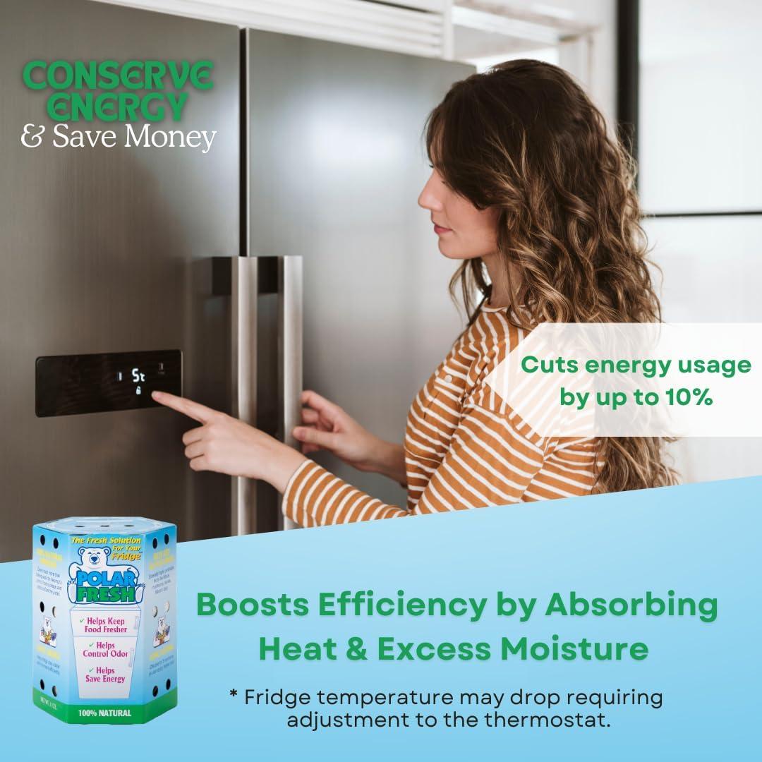 Desodorante de Refrigerador Polar Fresh - Eliminador de Olores y Control de Humedad 340g