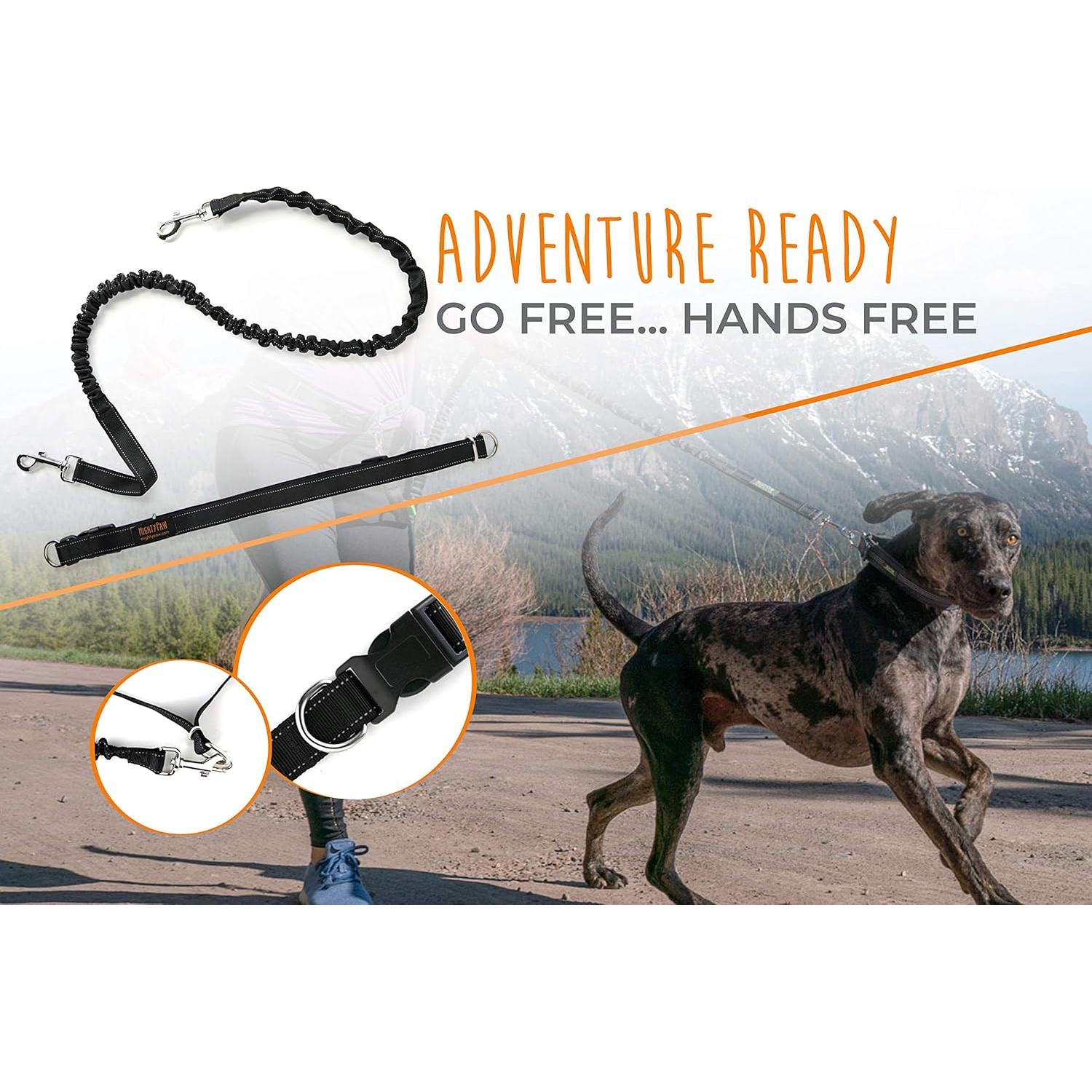 Correa Bungee Sin Manos Mighty Paw para Perros - Negro