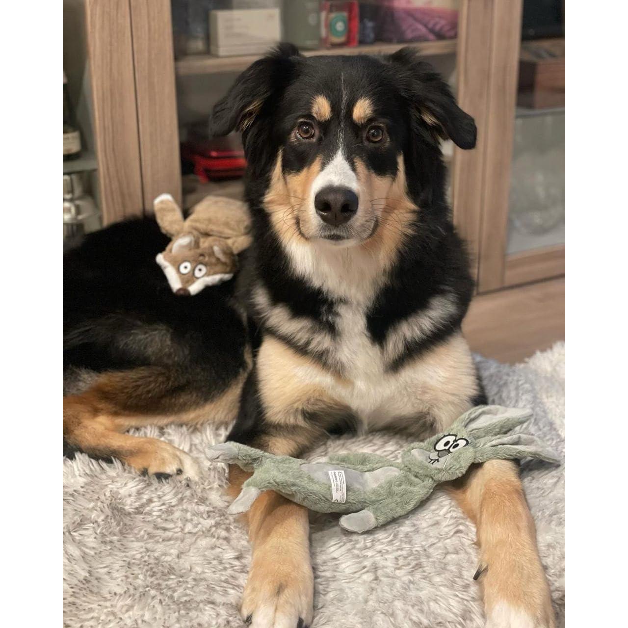 Juguetes para Perros HGB Sin Relleno Conejo y Zorro Rojo 39.88 cm