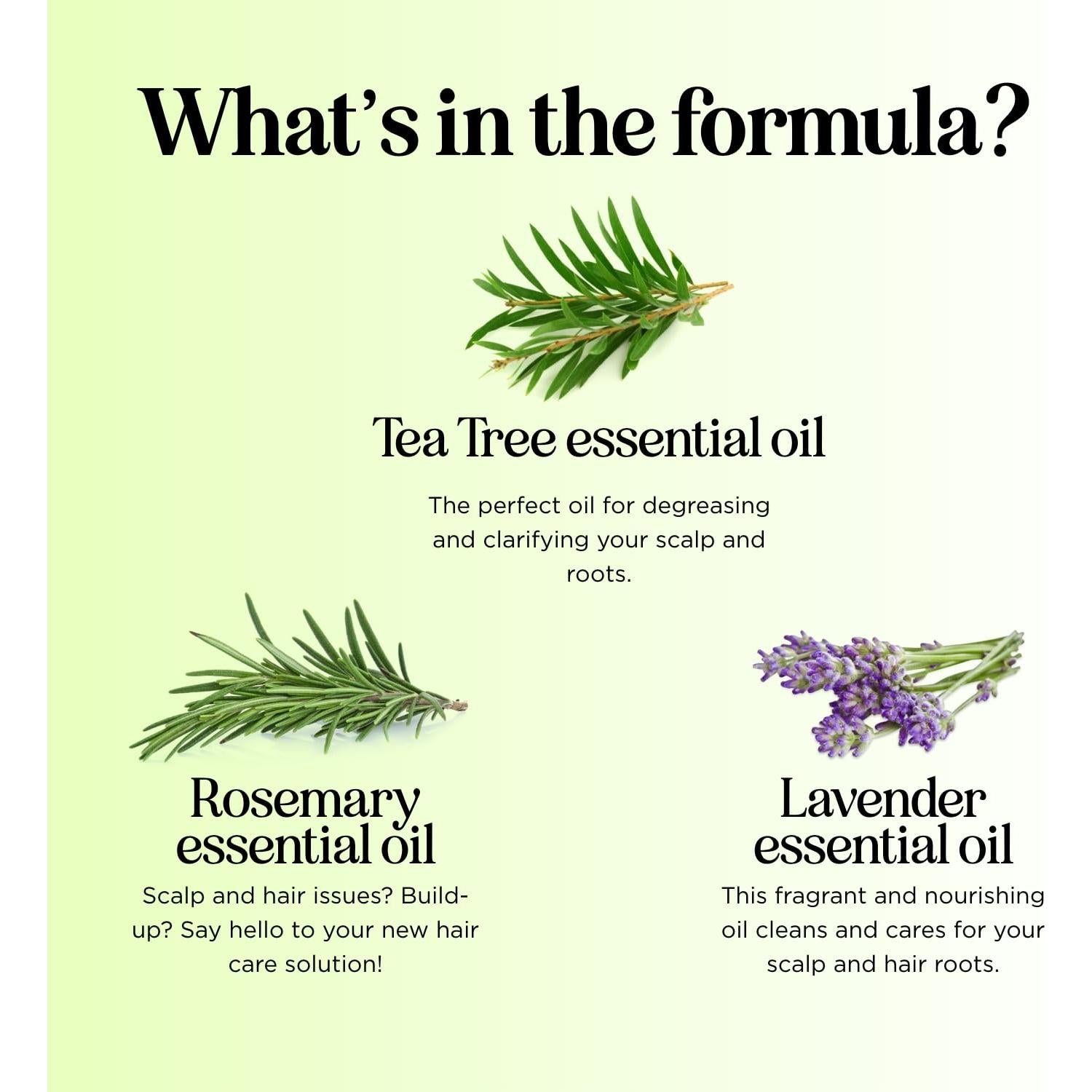 Champú Revitalizante Maple Holistics 236ml Árbol de Té