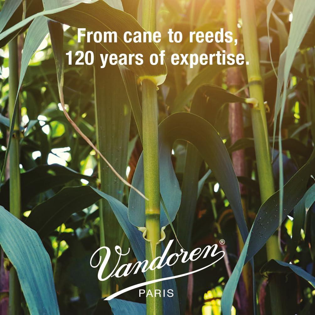 Cañas Tradicionales Vandoren CR1025 para Clarinete Bb 2.5 - 10 Unidades