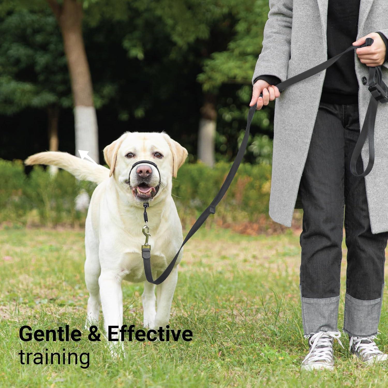 Collar de Cabeza Sin Tirones SVD.PET Verde Militar Mediano