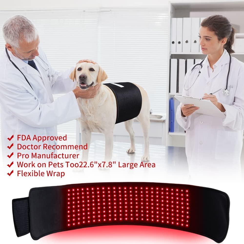 Terapia de Luz Infrarroja Roja DGXINJUN Alivio Dolor Espalda