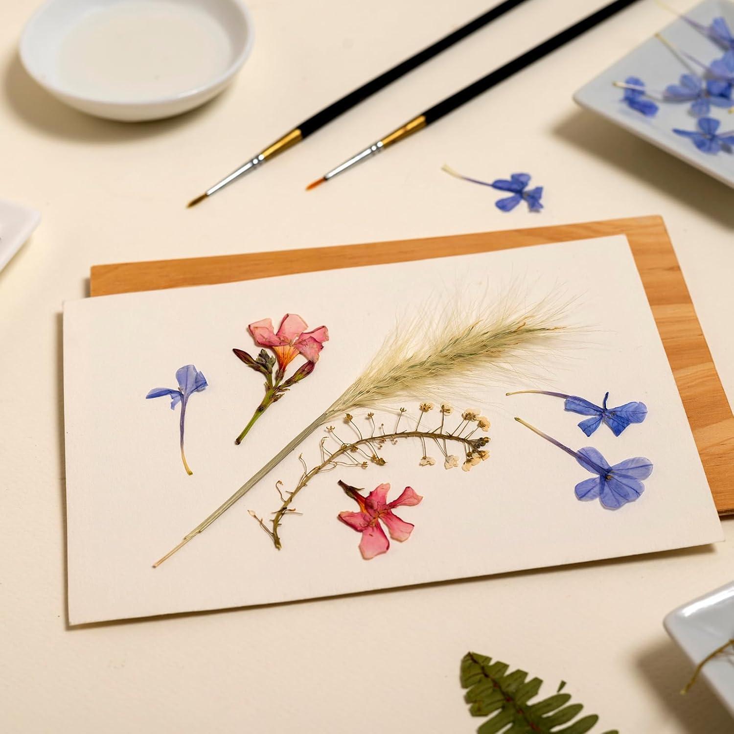 Prensa de Flores PATIKIL 20x15 cm - 30 Hojas Reutilizables