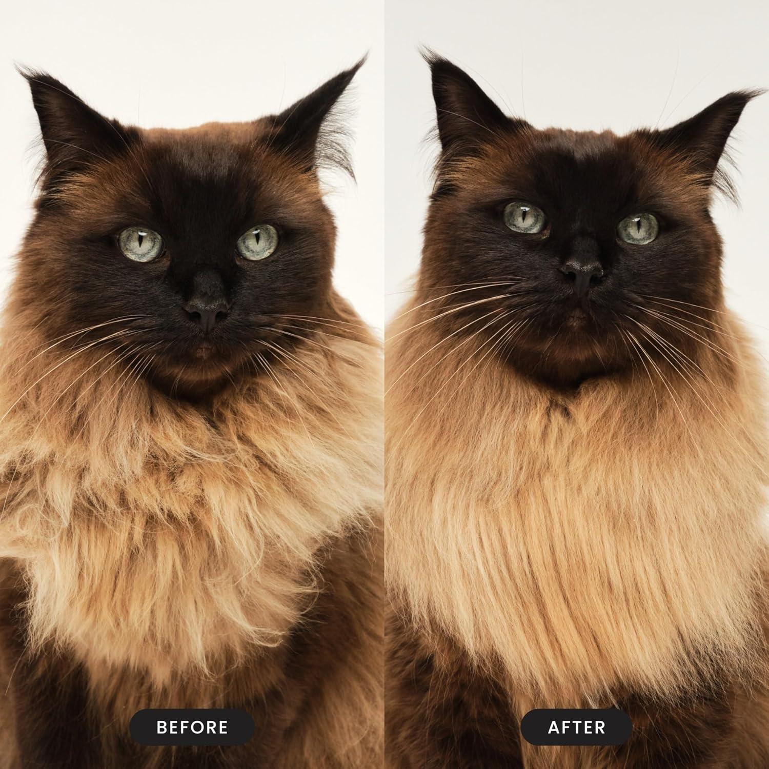 Cepillo Desenredador para Gatos Pet Teezer Rosa 10x8cm