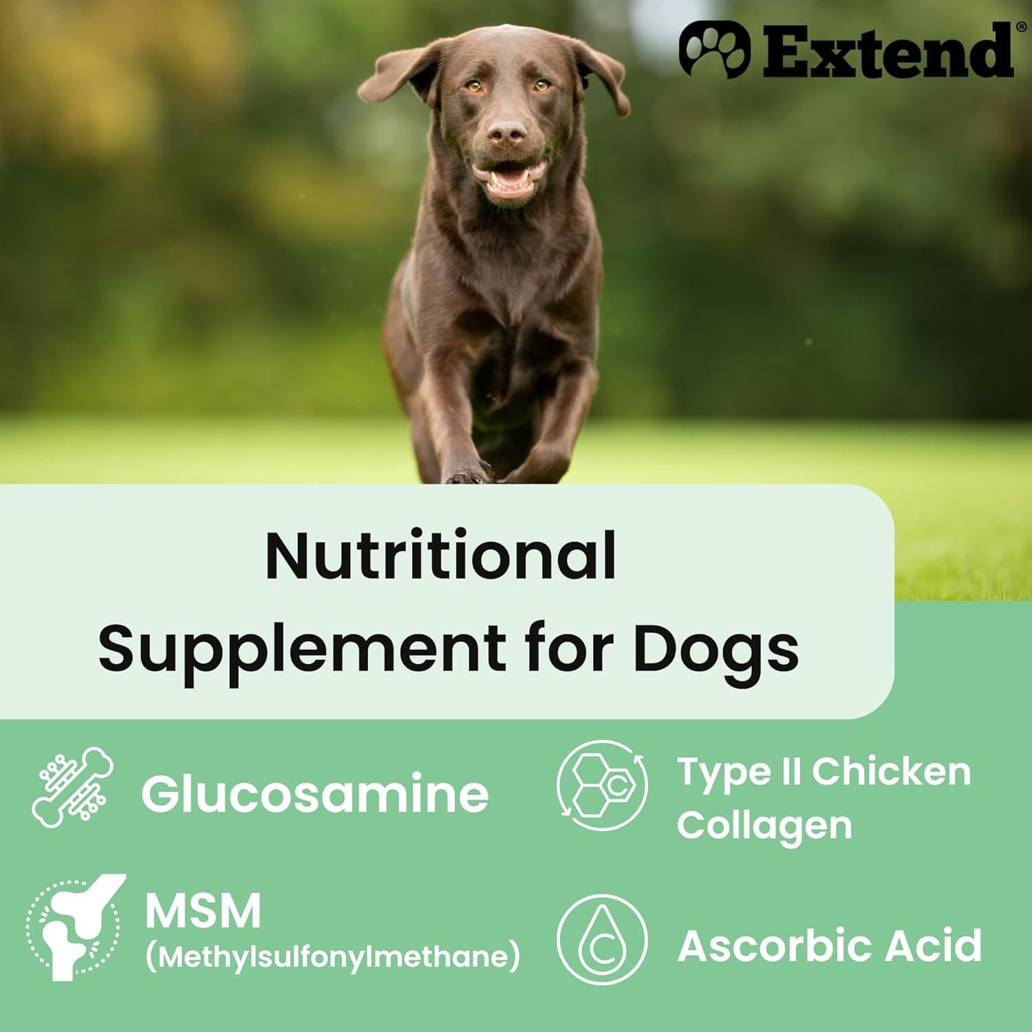 Suplemento Articular Extend para Perros - Glucosamina y MSM