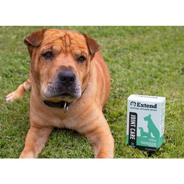 Suplemento Articular Extend para Perros - Glucosamina y MSM
