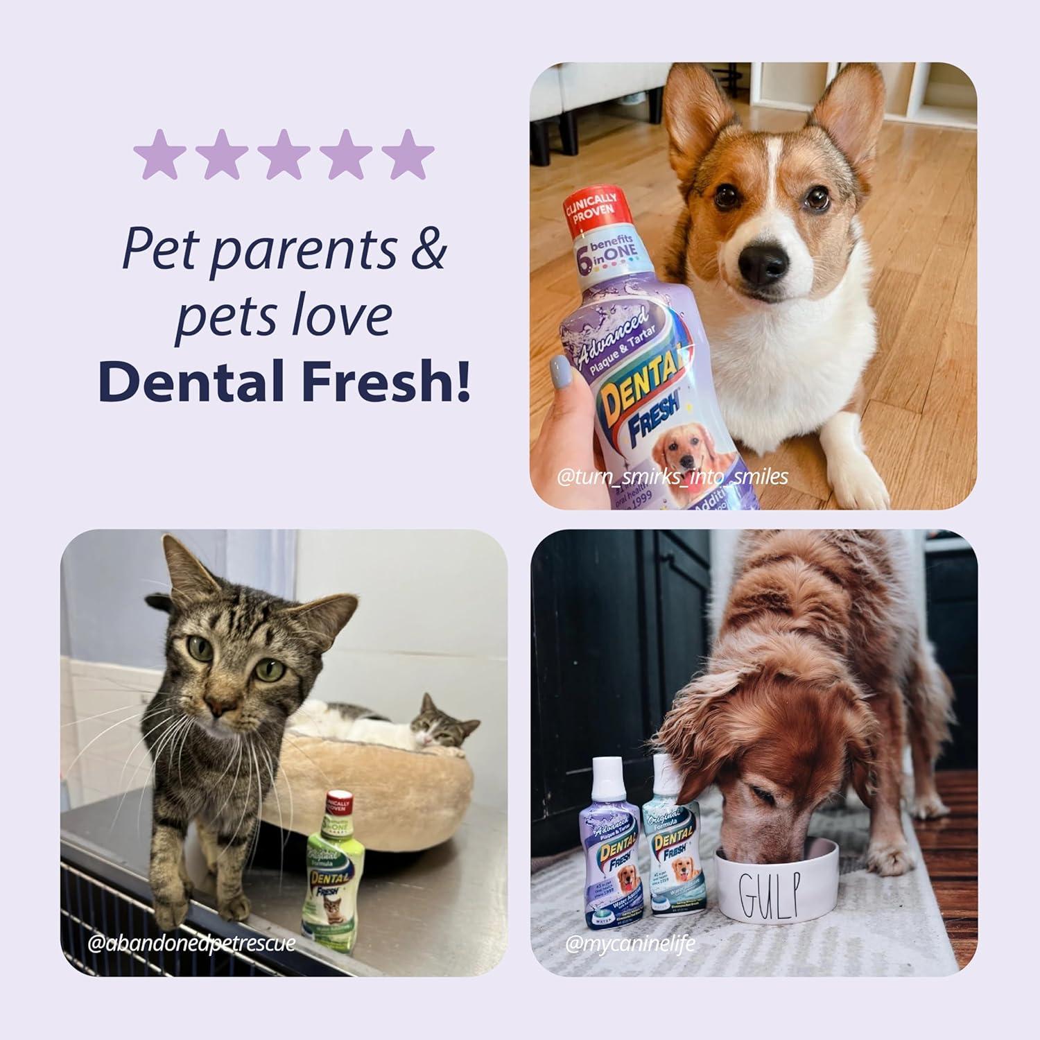 Aditivo Dental Fresh Avanzado para Perros y Gatos 226g