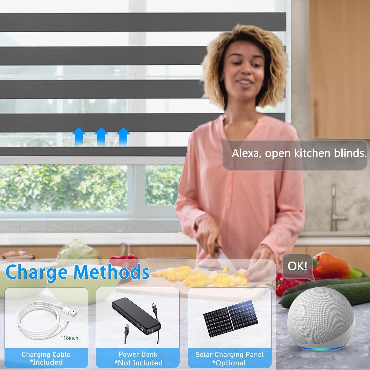 Motorized Zebra Blinds for Indoor Windows Cordless Electric Curtains with Remote Control Blackout Shades Custom Smart Blinds Alexa Google Home(Light Filtering Black,W20 X 72in)