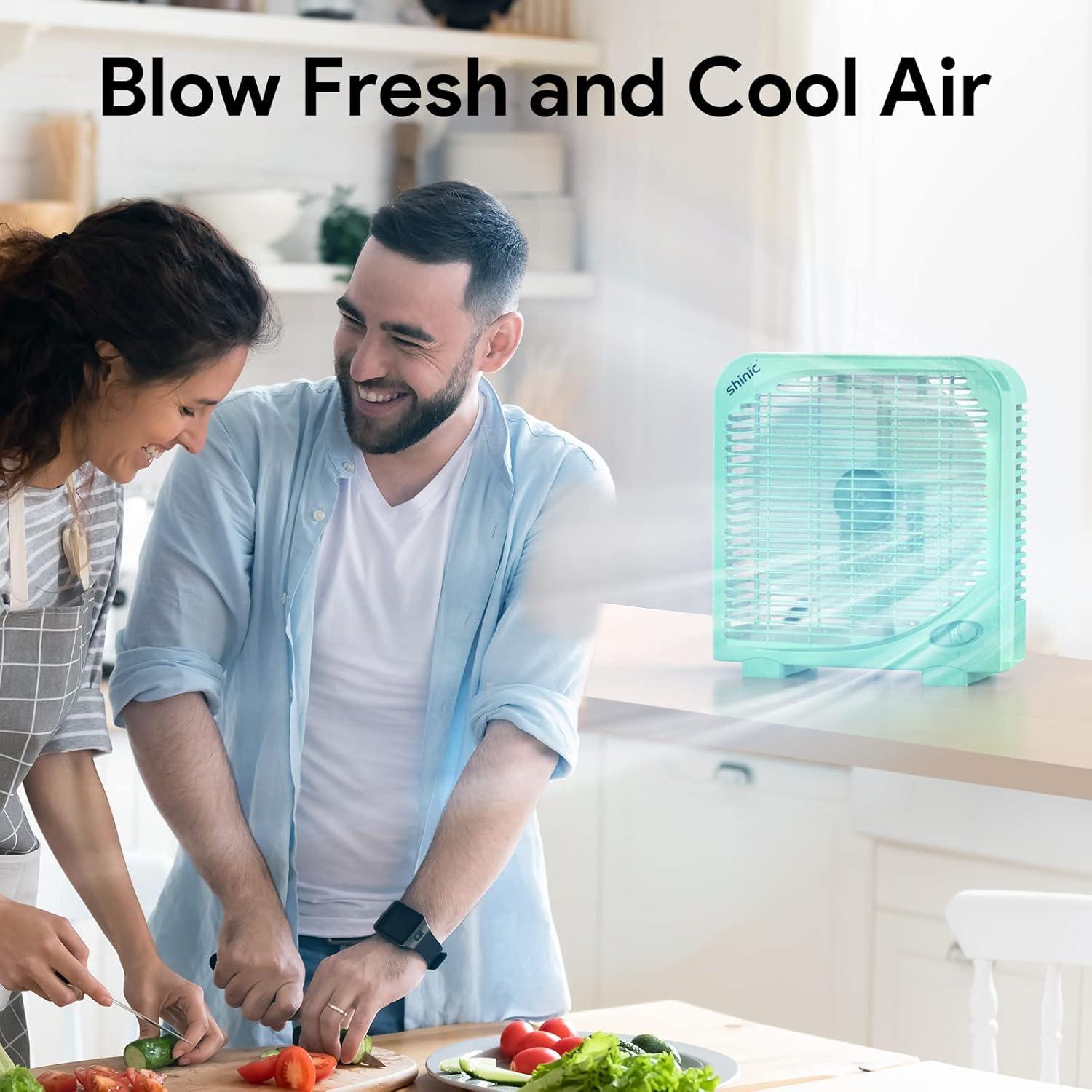 Ventilador de Mesa SHINIC 10" Silencioso 2 Velocidades Negro