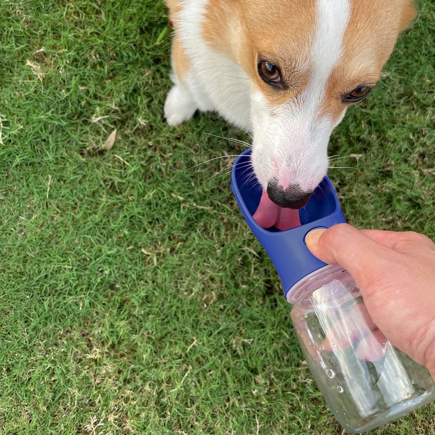Botella de Agua Portátil para Perros WePet 350ml a Prueba de Fugas
