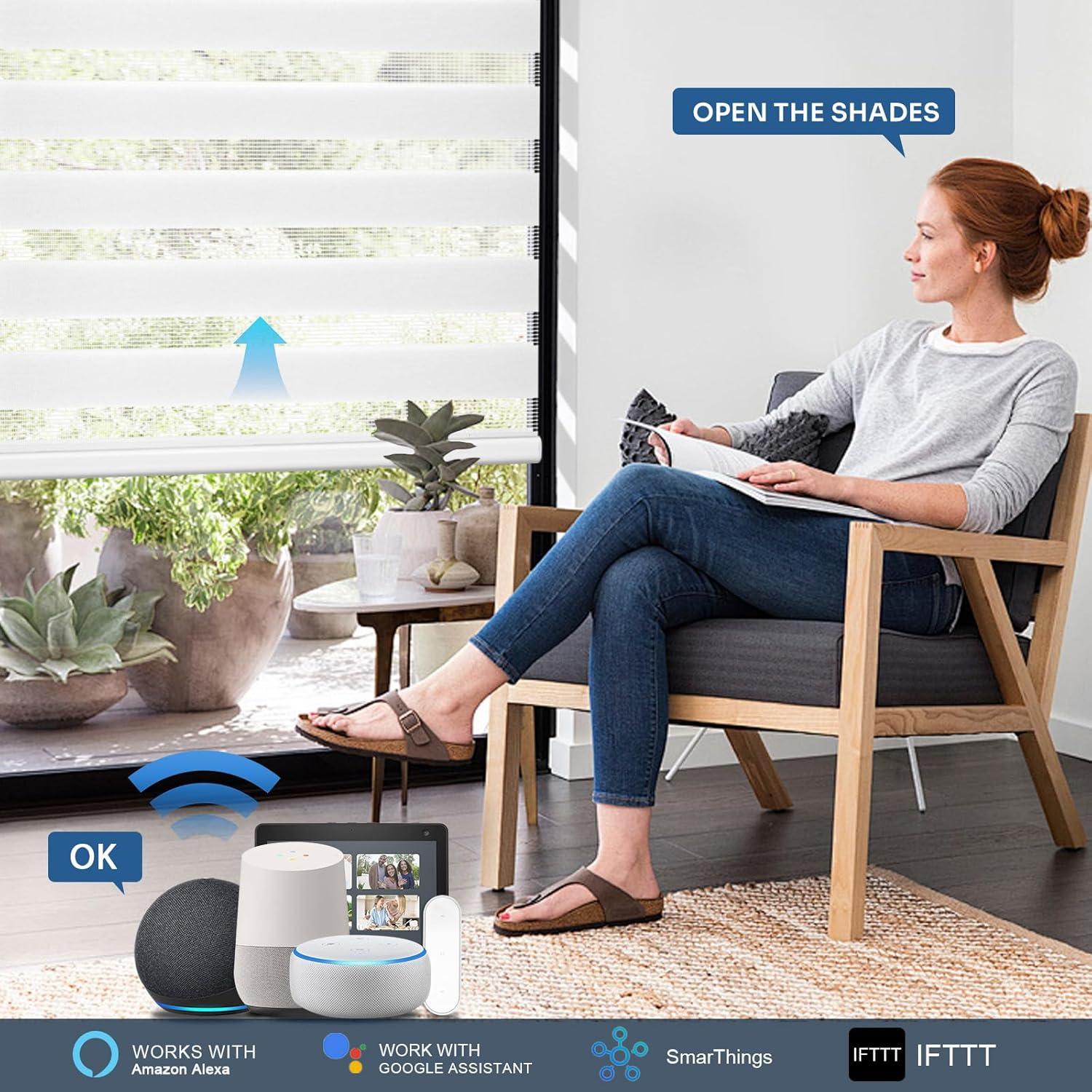 Grandekor Motorized Zebra Blinds with Remote Control,No Drill No Tools Cordless Dual Layer Zebra Blinds for Windows,Electric Zebra Shades Custom Size