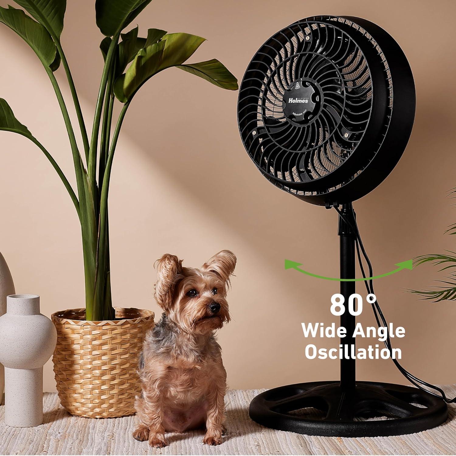 Ventilador de Pie Nebulizador HOLMES 16" Exterior Ajustable