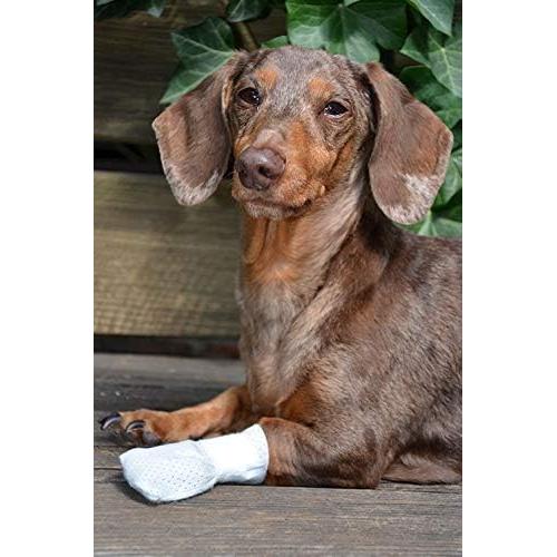 Vendajes para patas Medimitt PawFlex XS 20-Pack antideslizantes