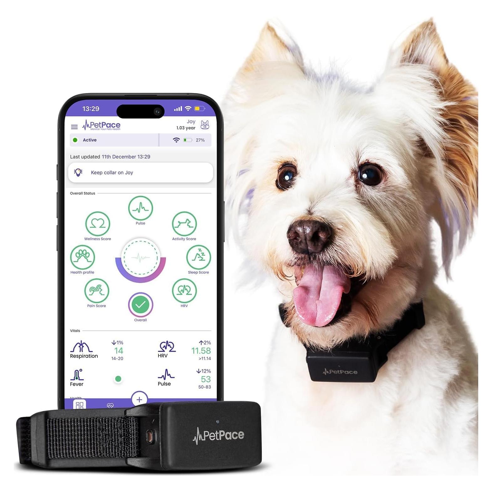 AI Health Monitor & GPS Tracker for Dogs | Track Heart Rate, Pain, Anxiety & Stress | Vet Backed, Near Real-Time Alerts & Monitoring | Subscription Required | PetPace Smart Collar 2.0 (Small)