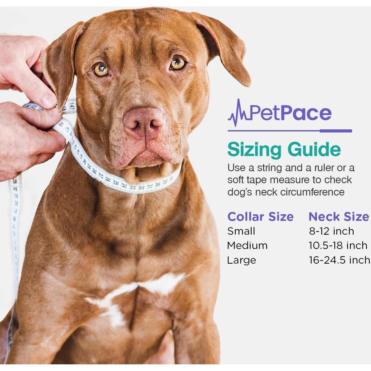 AI Health Monitor & GPS Tracker for Dogs | Track Heart Rate, Pain, Anxiety & Stress | Vet Backed, Near Real-Time Alerts & Monitoring | Subscription Required | PetPace Smart Collar 2.0 (Small)