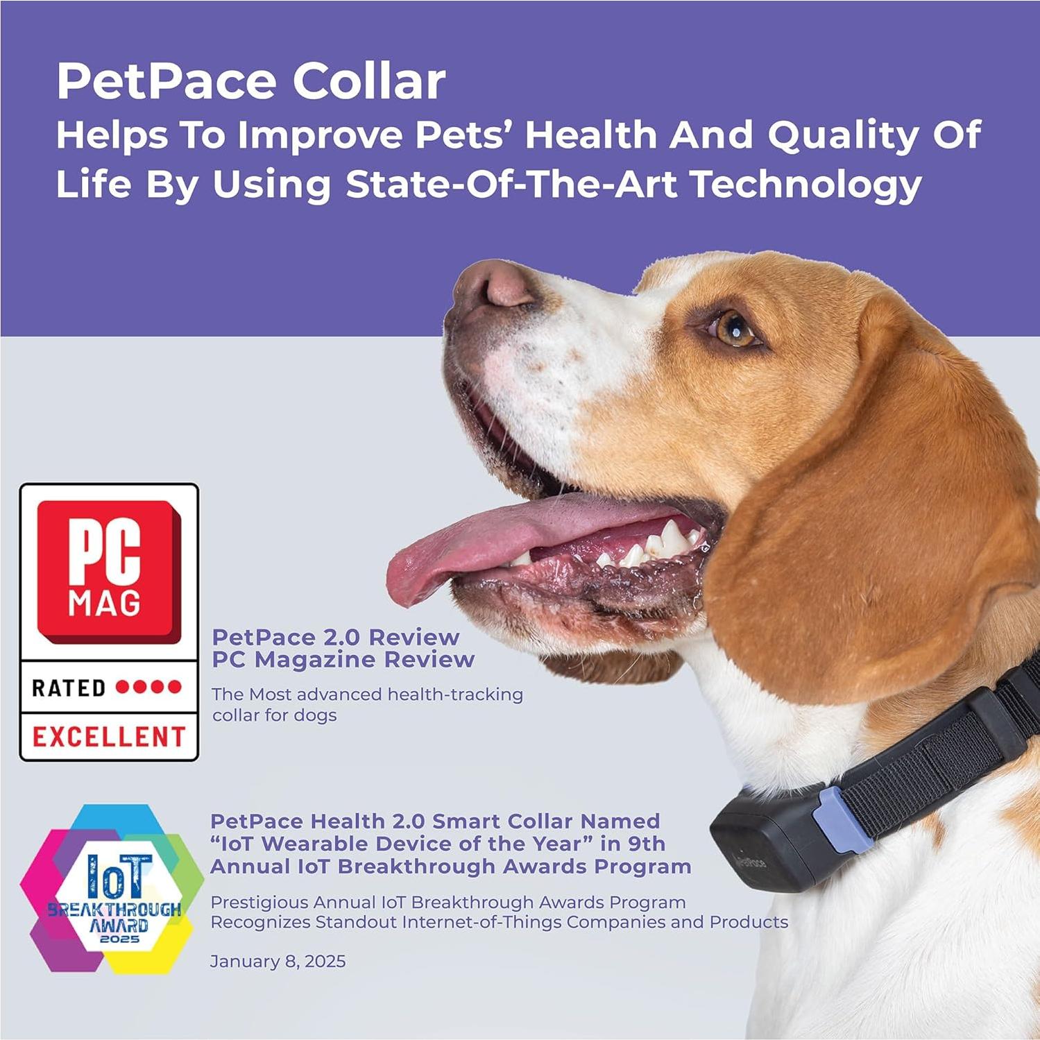 AI Health Monitor & GPS Tracker for Dogs | Track Heart Rate, Pain, Anxiety & Stress | Vet Backed, Near Real-Time Alerts & Monitoring | Subscription Required | PetPace Smart Collar 2.0 (Small)