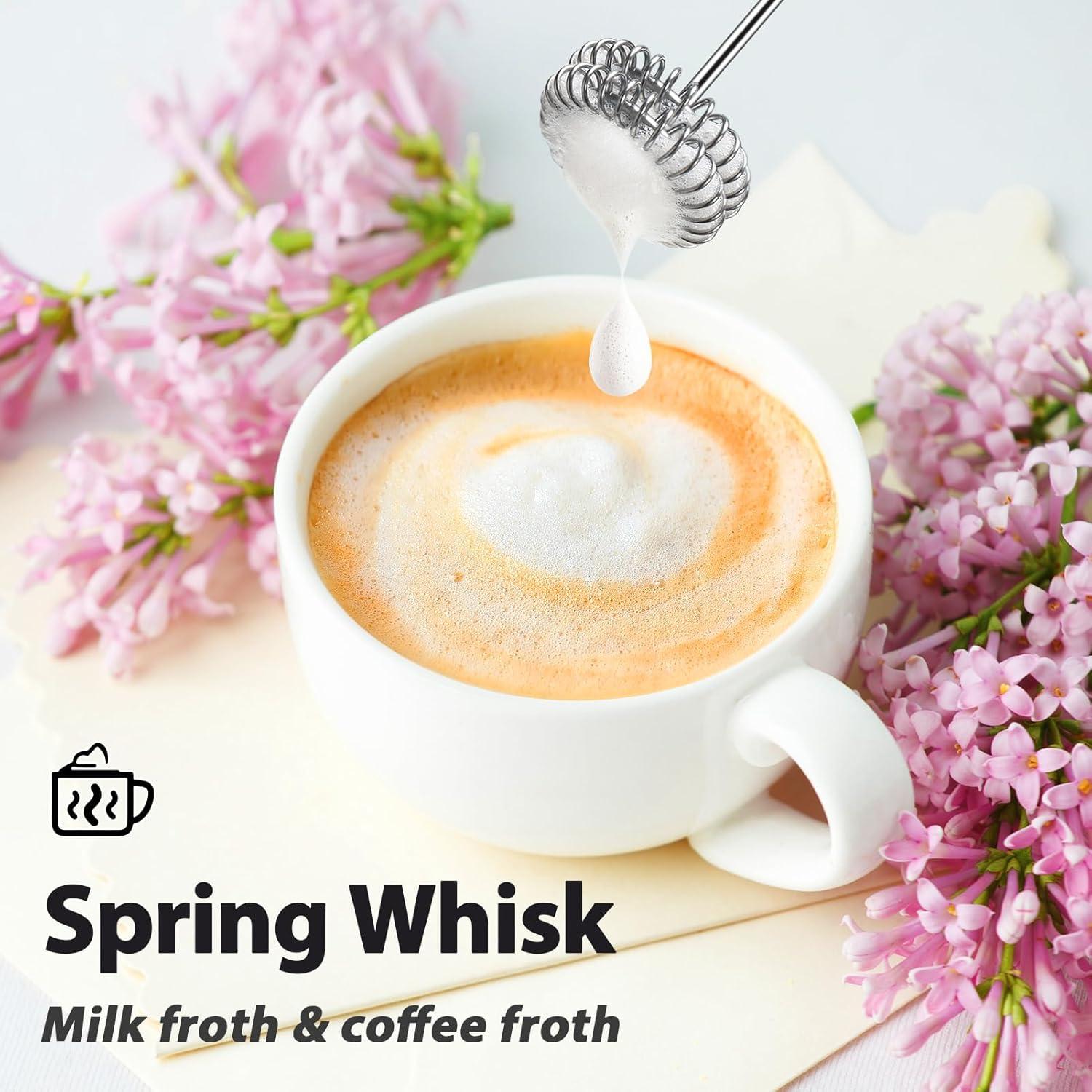 Espumador de Leche Recargable Sakgos con Soporte y 3 Varillas