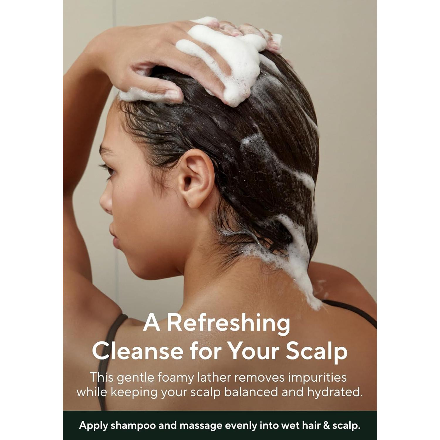 AROMATICA Rosemary Scalp Scaling Shampoo - Thinning Hair Loss Natural Rosemary Essential oil for Women - Vegan Hair Growth Biotin Korean Shampoo - Free from Sulfate, Silicone, and Paraben (13.53 oz)