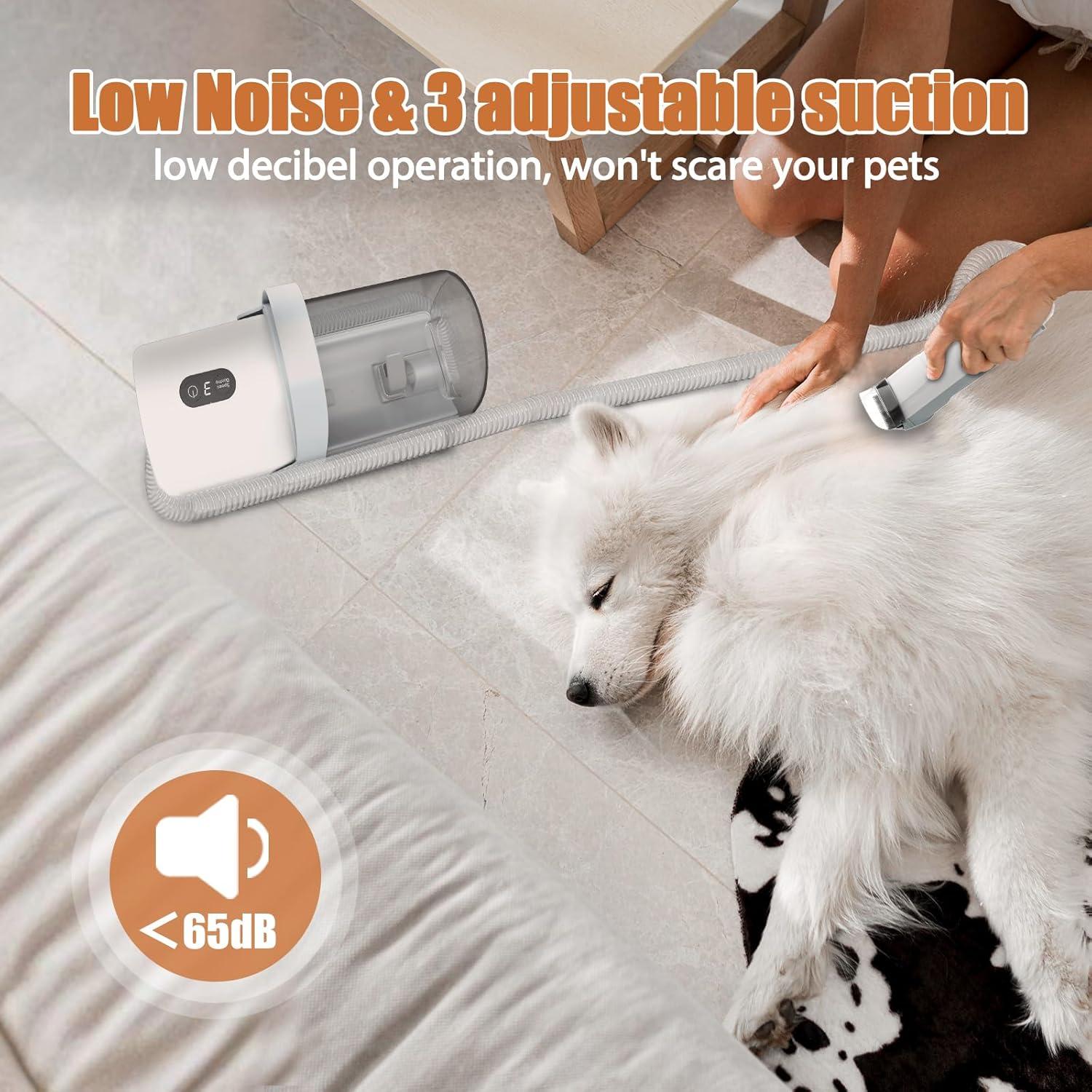 Aspiradora Acicalamiento Mascotas FIXR PG50 11000Pa 5 en 1