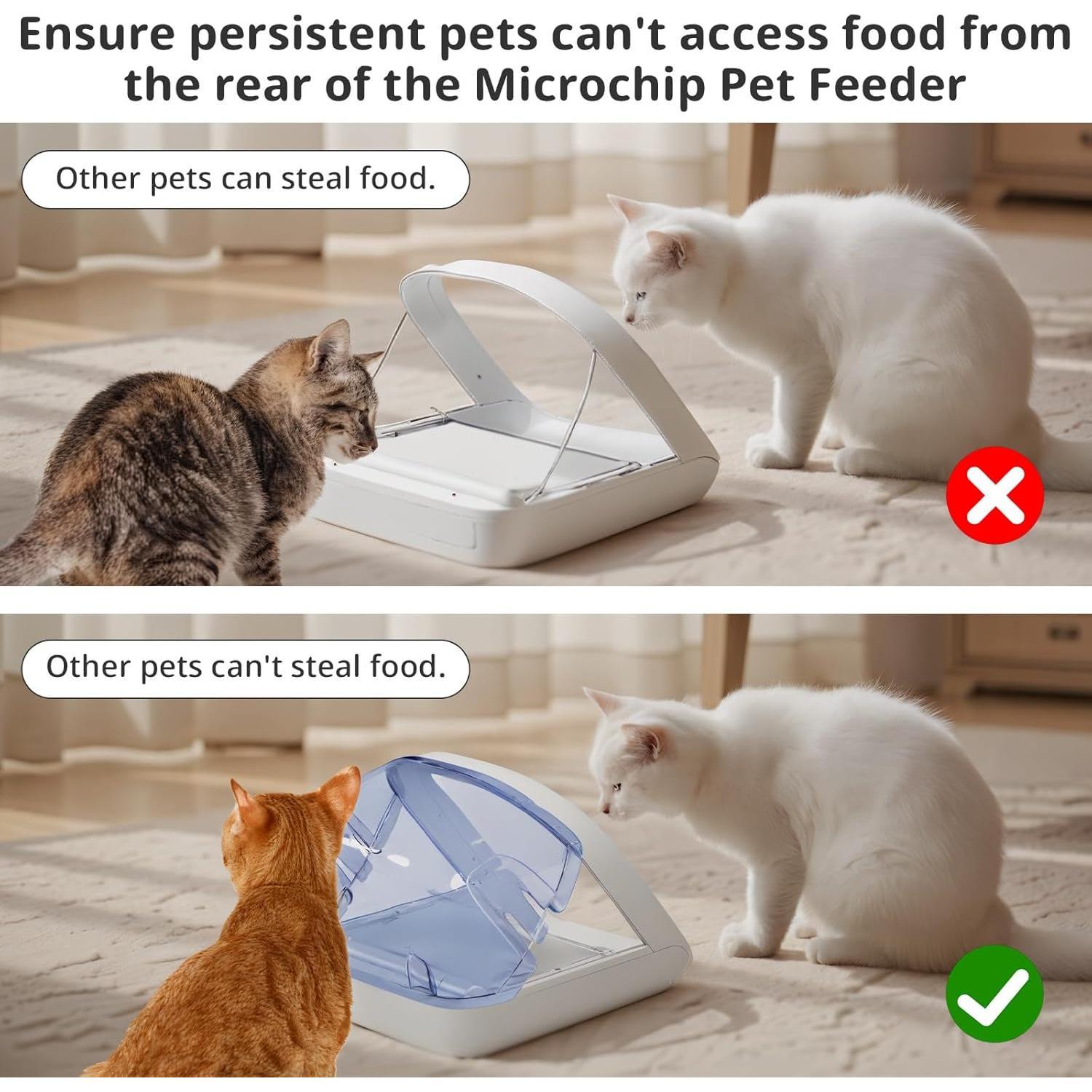 Cubierta Trasera para Comedero Automático Baofum - Azul