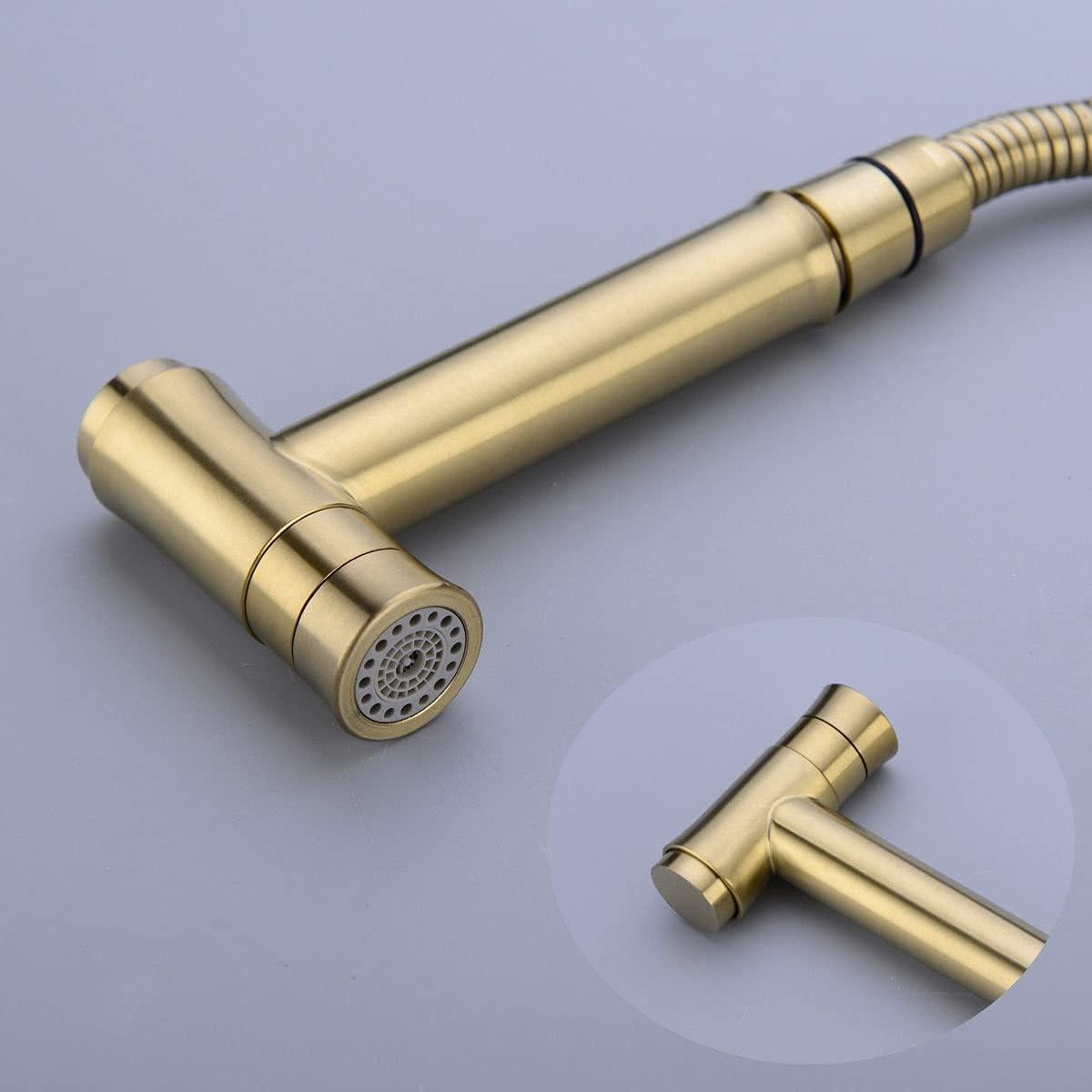 Rociador de Bidet TRUSTMI Oro Cepillado 119.38 cm Doble Función