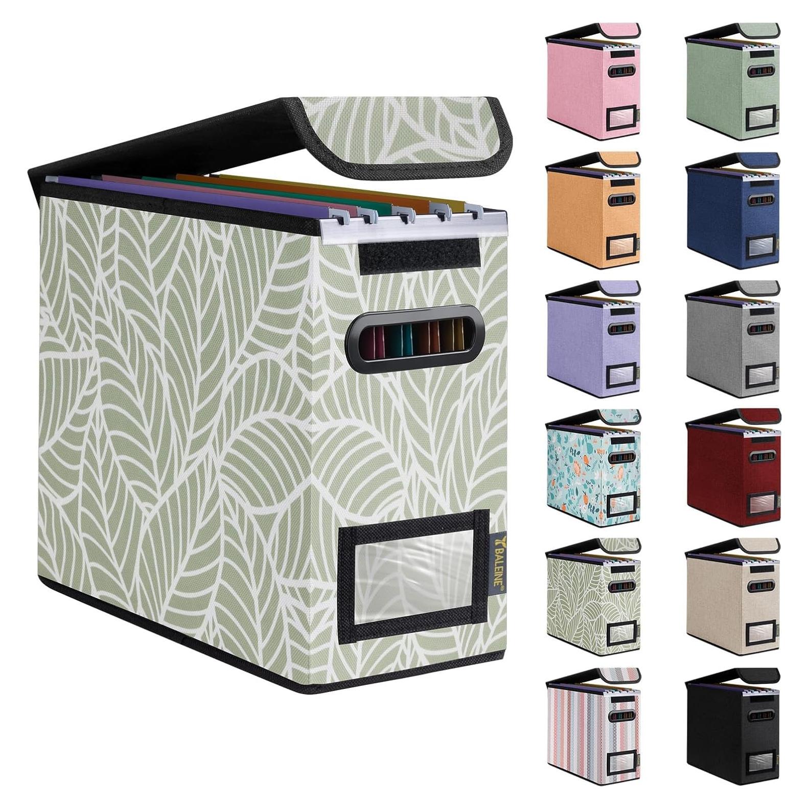 Caja Organizadora de Archivos BALEINE Pequeña con Tapa