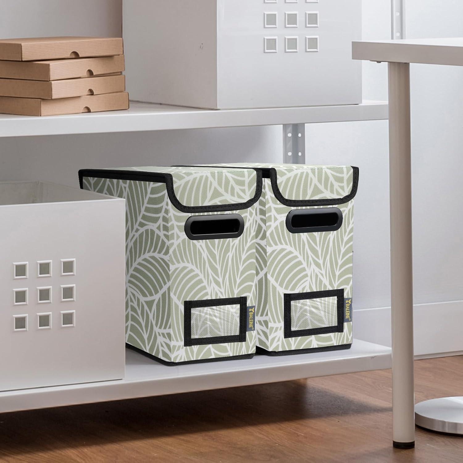 Caja Organizadora de Archivos BALEINE Pequeña con Tapa