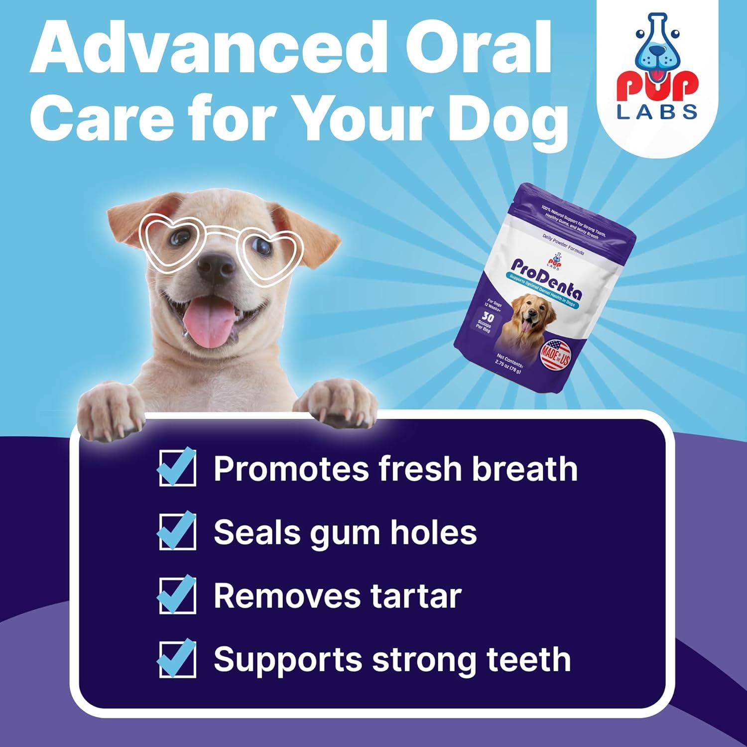 ProDenta, All-Natural Dog Dental Powder for Teeth Cleaning, Dental Powder for Dogs Teeth with Breath Freshener. Easy to use for Tartar Removal and Leaky Gums. Made in USA, 30 Servings
