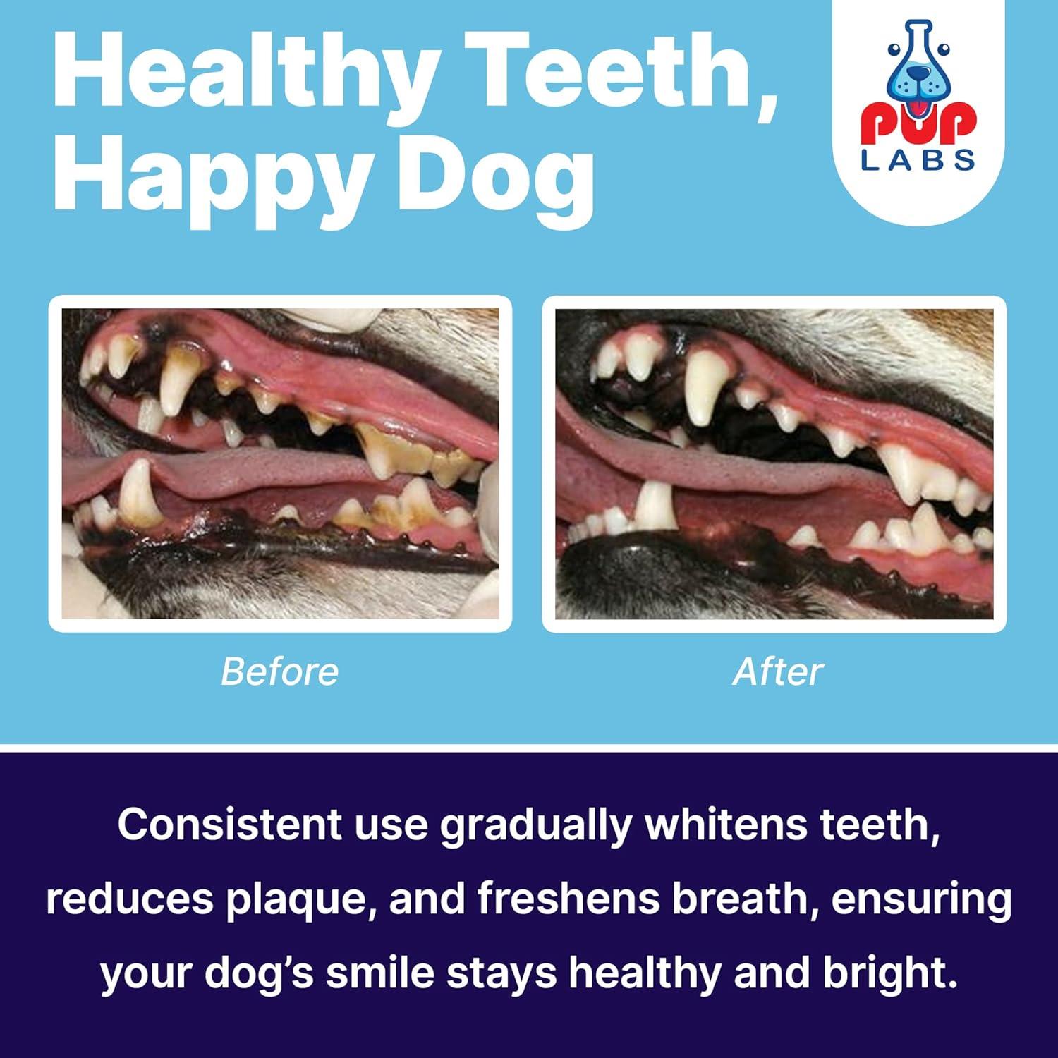 ProDenta, All-Natural Dog Dental Powder for Teeth Cleaning, Dental Powder for Dogs Teeth with Breath Freshener. Easy to use for Tartar Removal and Leaky Gums. Made in USA, 30 Servings