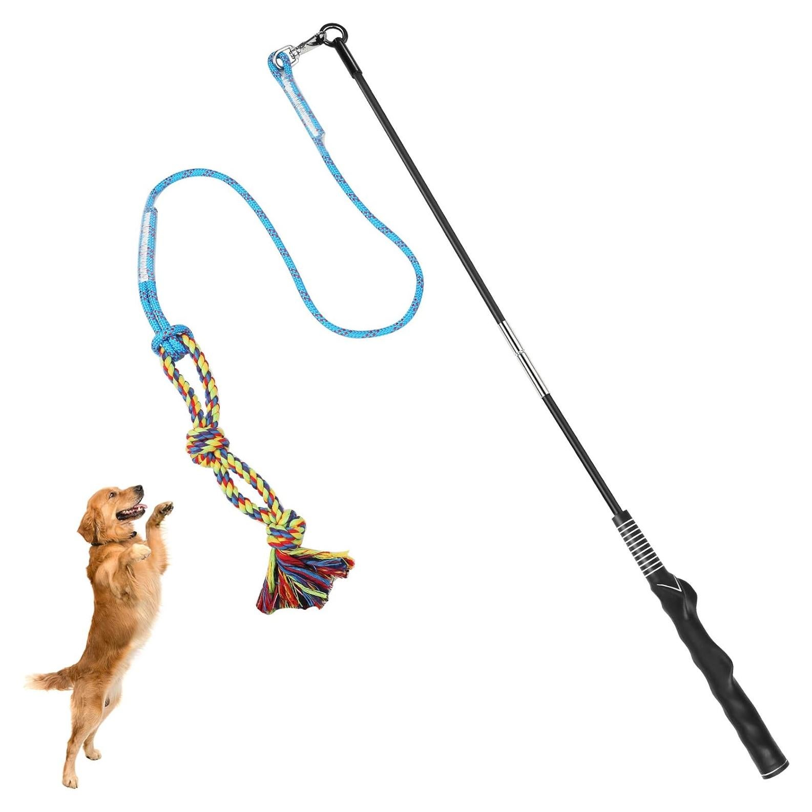 Palo de Coqueteo para Perros DIBBATU 83.82 cm Azul
