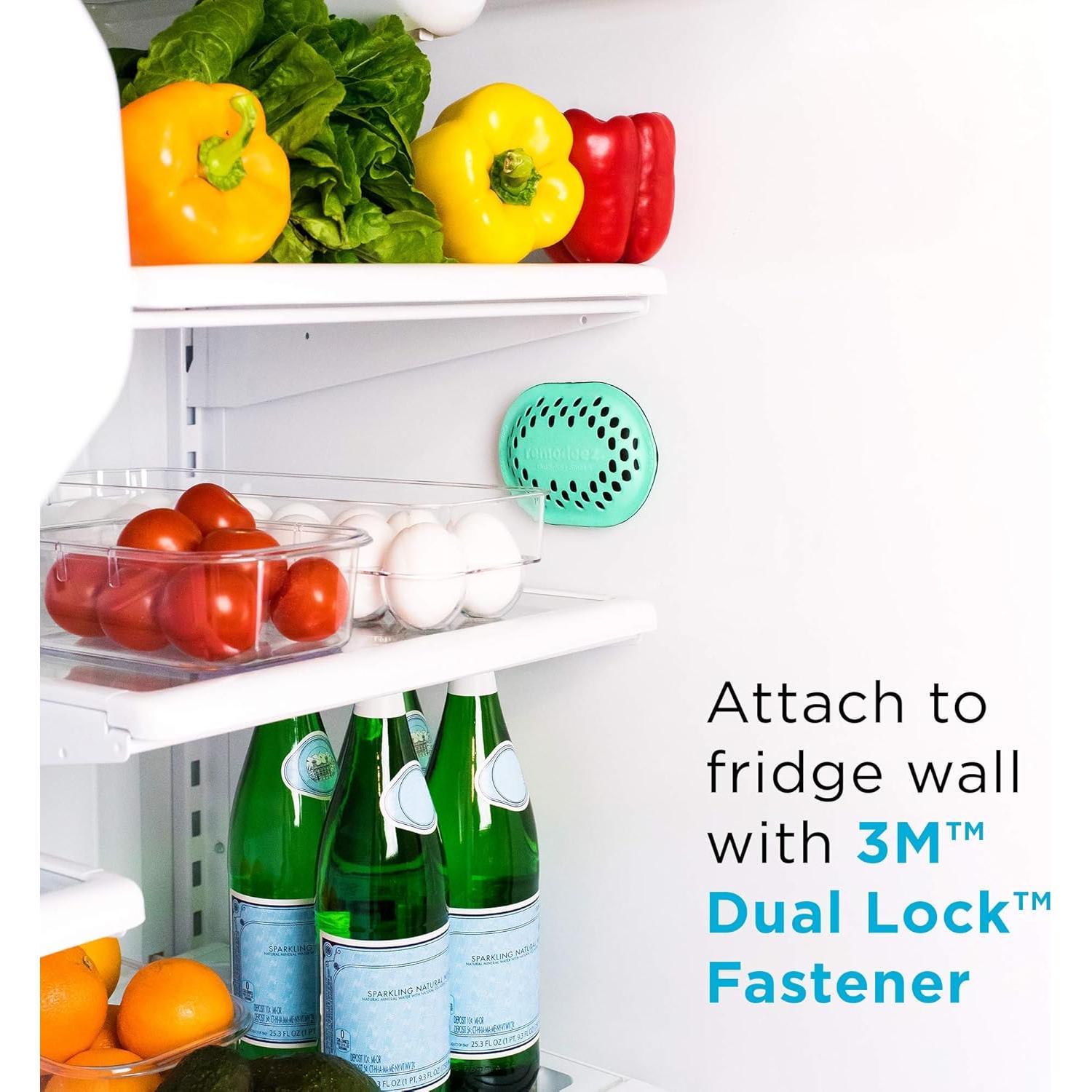 remodeez Refrigerator Deodorizer and Odor Eliminator, Activated Charcoal Bags, Charcoal Air Purifiers, Odor & Moisture Absorber