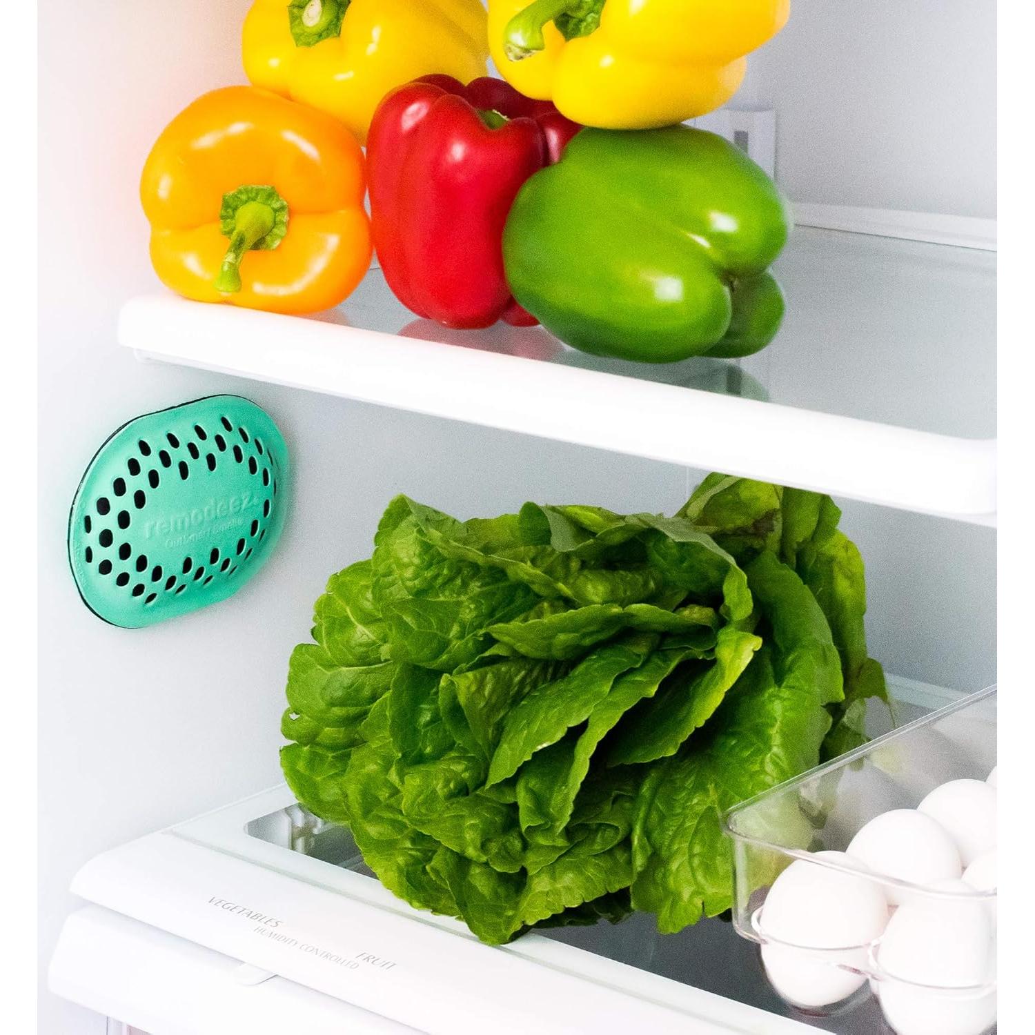 remodeez Refrigerator Deodorizer and Odor Eliminator, Activated Charcoal Bags, Charcoal Air Purifiers, Odor & Moisture Absorber