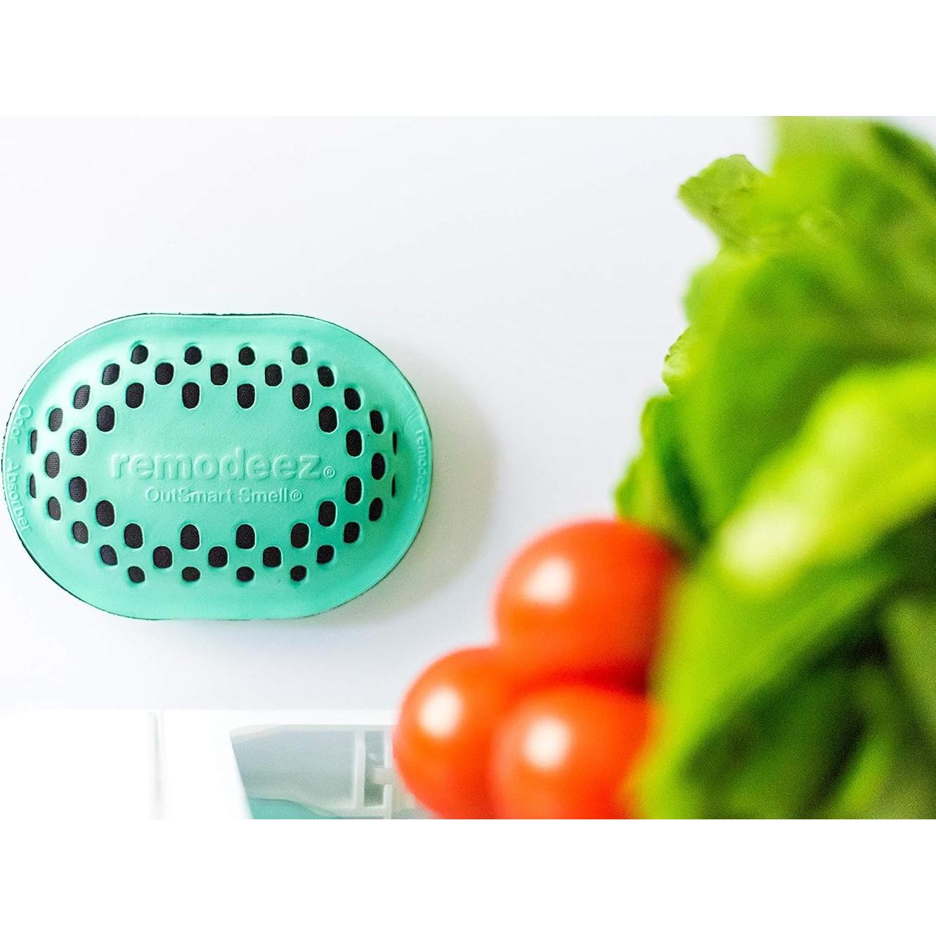 remodeez Refrigerator Deodorizer and Odor Eliminator, Activated Charcoal Bags, Charcoal Air Purifiers, Odor & Moisture Absorber