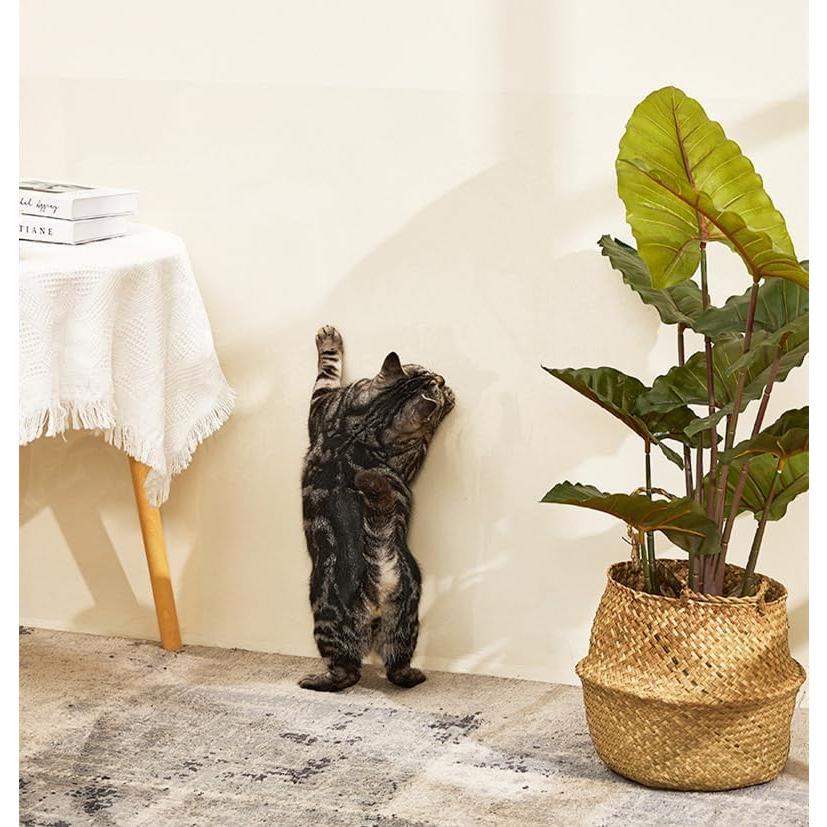 Rollo de papel contact transparente Ismoon 0.45m x 1.52m