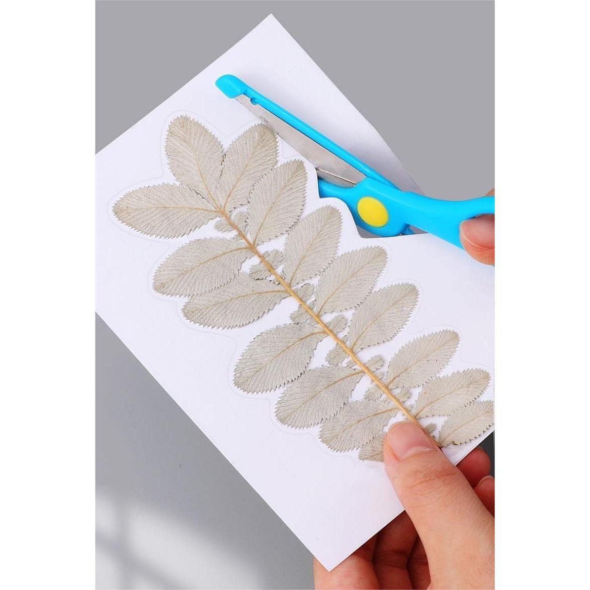 Rollo de papel contact transparente Ismoon 0.45m x 1.52m