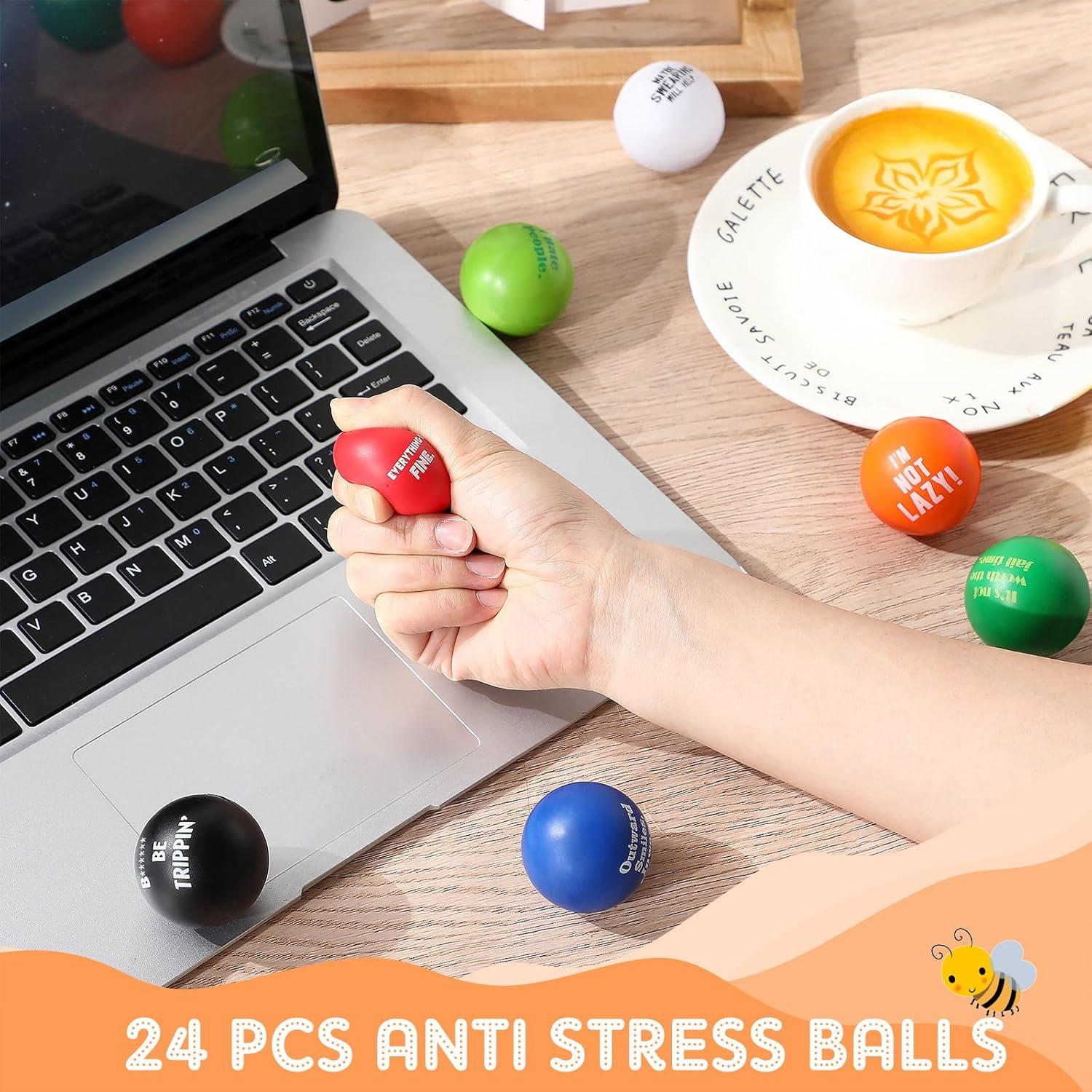 Blulu 24 Pcs Funny Stress Balls Bulk, 1.57" Stress Relief Ball, Everything is Fine, Outward Smiles Inward Screams, It's Not Worth The Jail Time, Funny Gag Gifts for Adults Coworker Employee