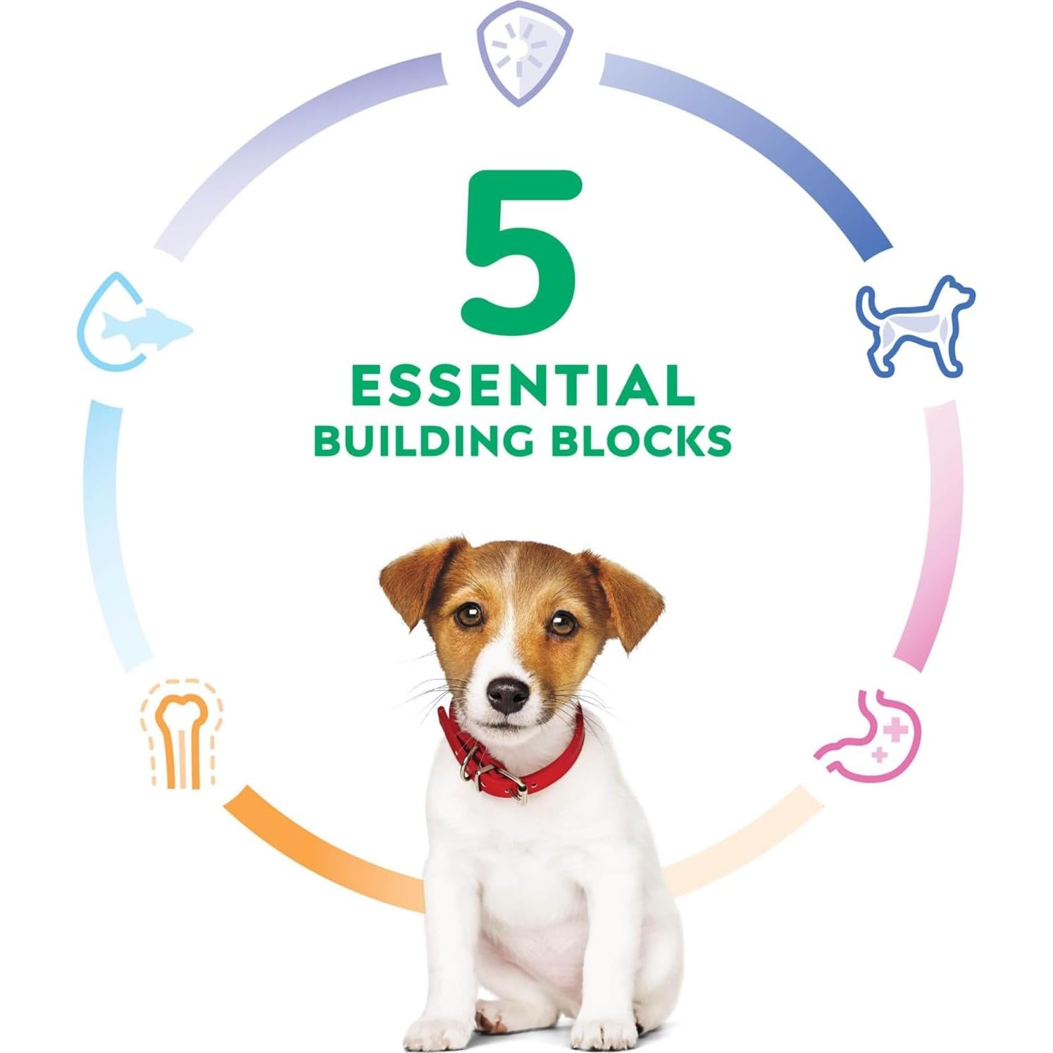 Comida Seca para Cachorros Hill's Science Diet 2 kg Pollo y Arroz