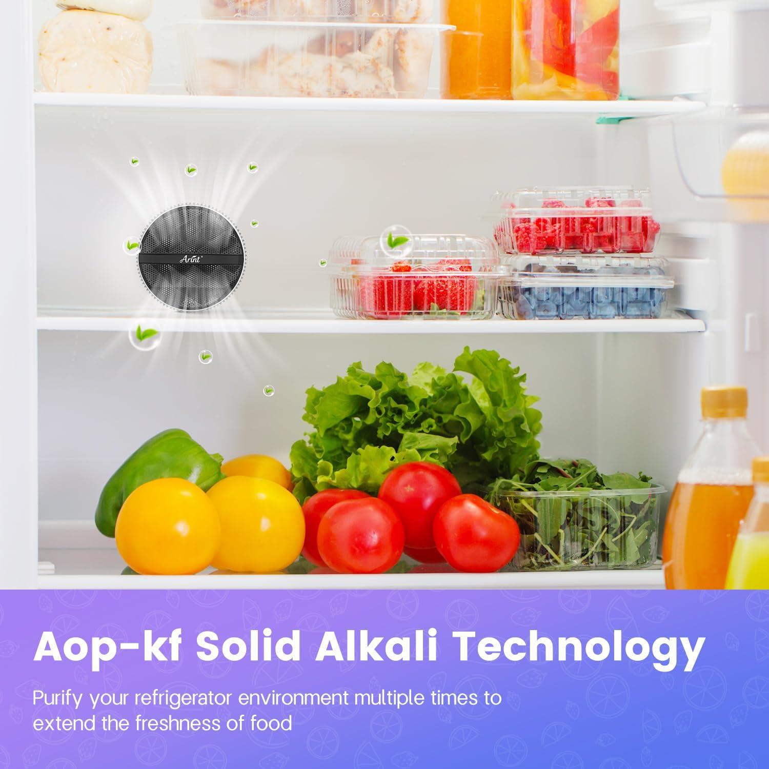 Refrigerator Deodorizer, 20-Minute Efficient Fridge Deodorizer Odor Eliminator, 24x Extended Freshness, More Effective Than Baking Soda and Charcoal, Orchid