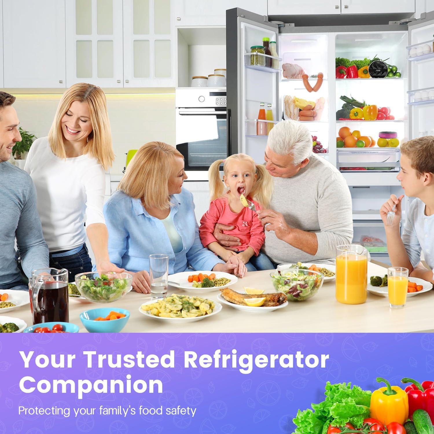 Refrigerator Deodorizer, 20-Minute Efficient Fridge Deodorizer Odor Eliminator, 24x Extended Freshness, More Effective Than Baking Soda and Charcoal, Orchid