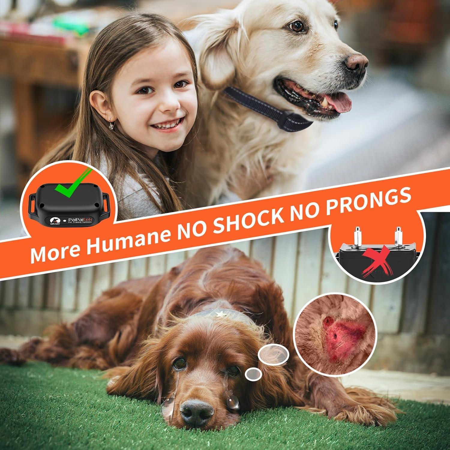 Collar de Entrenamiento PaiPaitek Sin Choque 1000m Impermeable