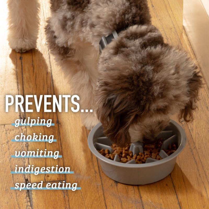 Cuenco para Perros Leashboss Alimentador Lento Azul 1.5 Taza